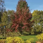 1 Bedroom Amazing In L'auber